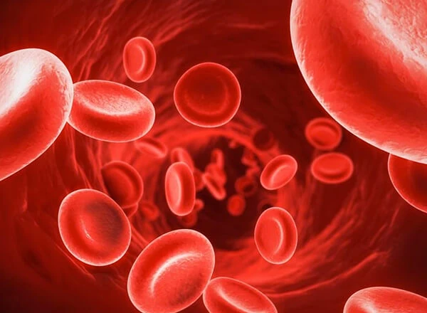 Representación visual de la testosterona en el cuerpo masculino